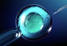 Aşılama Adetin Kaçıncı Günü Yapılır?