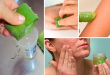 Aloe Vera Jel Nasıl Yapılır?