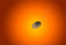 Mikroenjeksiyon Hakkında Sorular Cevaplar