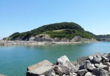 Ağva Deniz ve Yeşilin Buluştuğu Nokta