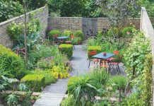 Bahçenizin Havasını Değiştirecek Bitkiler