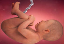 Hamilelik Dönemi 36.Hafta