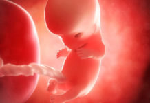 Hamilelik Dönemi 10.Hafta