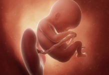 Hamilelik Dönemi 18.Hafta