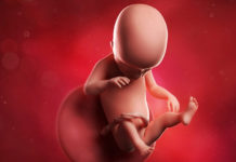 Hamilelik Dönemi 19.Hafta