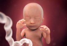 Hamilelik Dönemi 21.Hafta