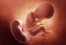 Hamilelik Dönemi 22.Hafta