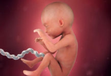 Hamilelik Dönemi 25.Hafta