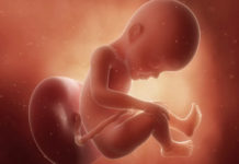 Hamilelik Dönemi 27.Hafta