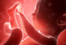 Hamilelik Dönemi 28.Hafta