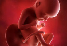 Hamilelik Dönemi 29.Hafta