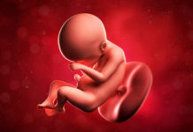 Hamilelik Dönemi 30.Hafta