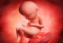 Hamilelik Dönemi 32.Hafta