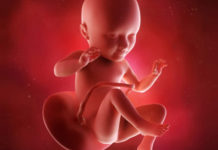 Hamilelik Dönemi 34.Hafta