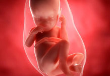 Hamilelik Dönemi 37.Hafta