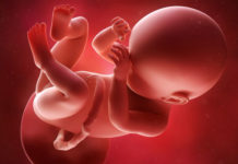 Hamilelik Dönemi 38.Hafta