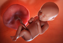 Hamilelik Dönemi 39.Hafta