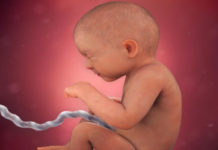 Hamilelik Dönemi 40.Hafta