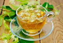 Ihlamurun Faydaları ve Kullanımı