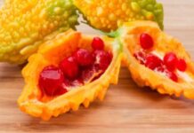 Kudret Narı ve Faydaları