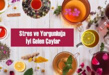 Stres ve Yorgunluğa İyi Gelen Çaylar