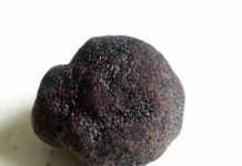 Trüf Mantarı Nasıl Saklanır