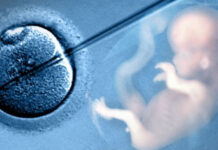 Tüp Bebek ve Sonrası