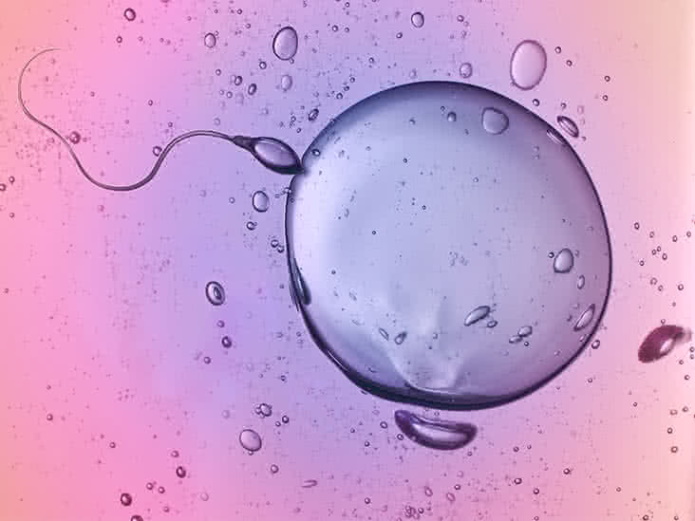 Tüp Bebekte Sperm Bozukluğu