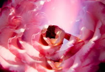 Uzun Süre Orgazm Olmanın Yolları